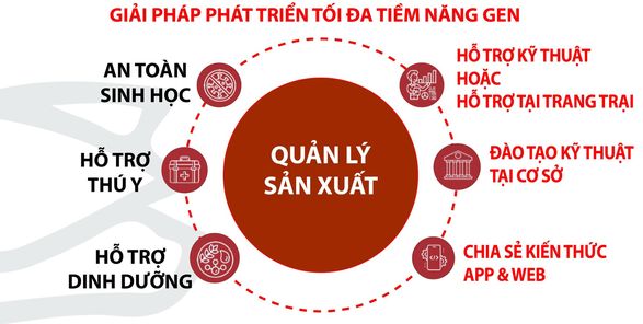 Tập đoàn Dabaco Việt Nam hợp tác với Công ty Danbred (Đan Mạch) phát triển công nghệ chăn nuôi - Ảnh 2. Tập đoàn Dabaco Việt Nam hợp tác với Công ty Danbred (Đan Mạch) phát triển công nghệ chăn nuôi - Ảnh 2.