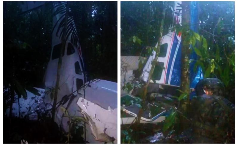 Điều kỳ diệu giúp 4 đứa trẻ sống sót sau tai nạn máy bay trong rừng Amazon - Ảnh 2.