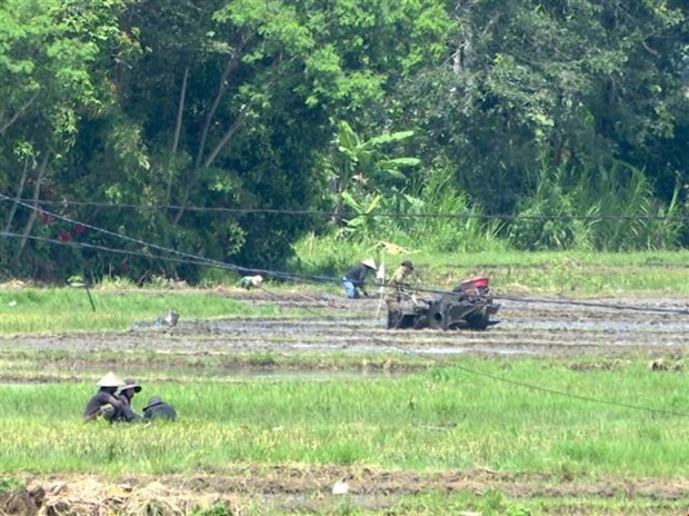 Vụ tấn công tại Đắk Lắk: Bình yên đã trở lại nơi huyện Cư Kuin - Ảnh 3.