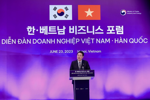 Hợp tác kinh tế, thương mại và đầu tư Việt Nam - Hàn Quốc sẽ đột phá hơn về mọi mặt - Ảnh 4.