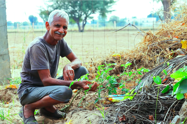 Nắng nóng kỷ lục khiến cà chua thành mặt hàng xa xỉ ở Ấn Độ - Ảnh 1.