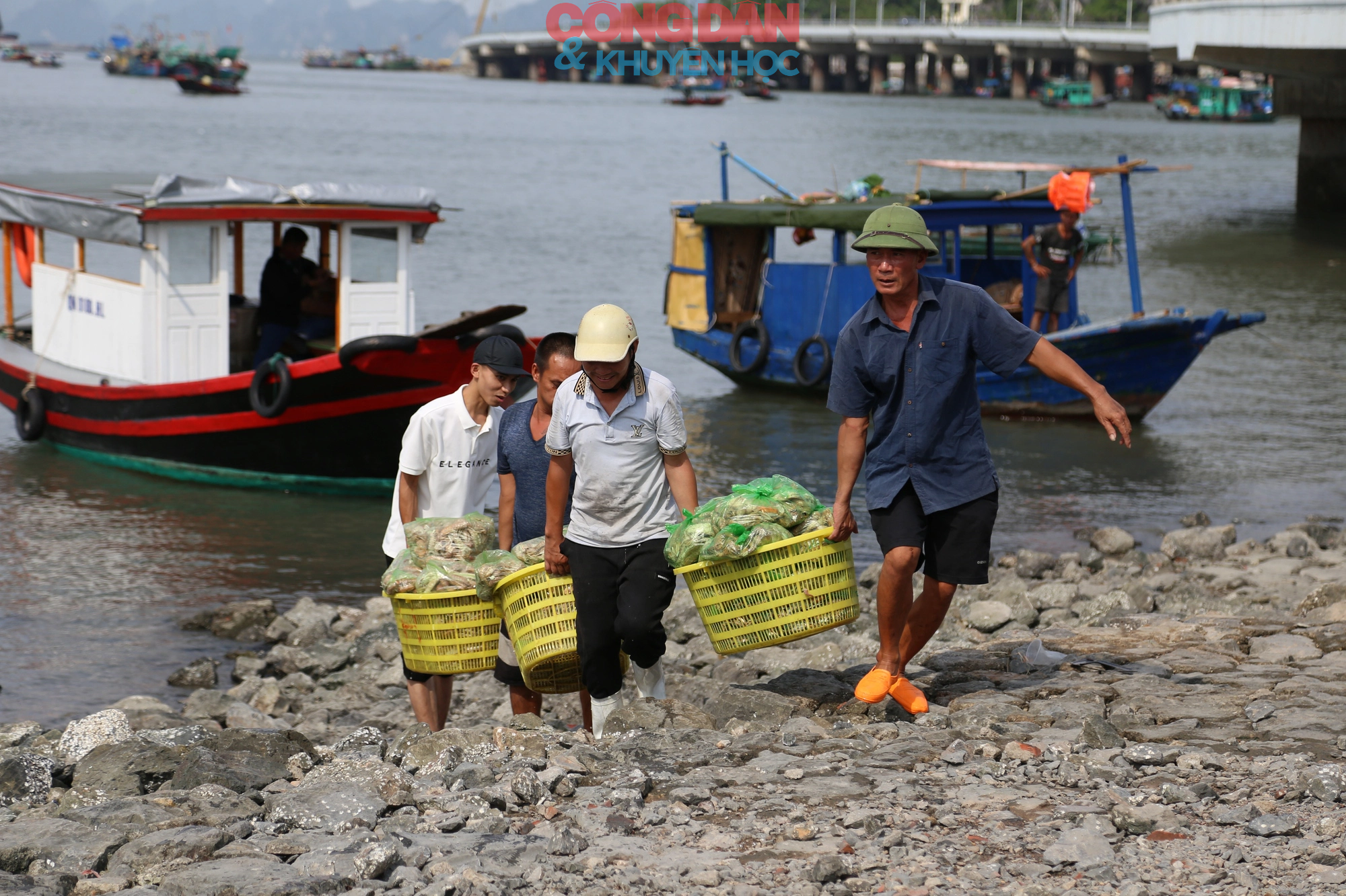 Quảng Ninh: Đối phó với bão số 1, tàu vào nơi neo đậu, ngư dân hối hả lên bờ - Ảnh 4.