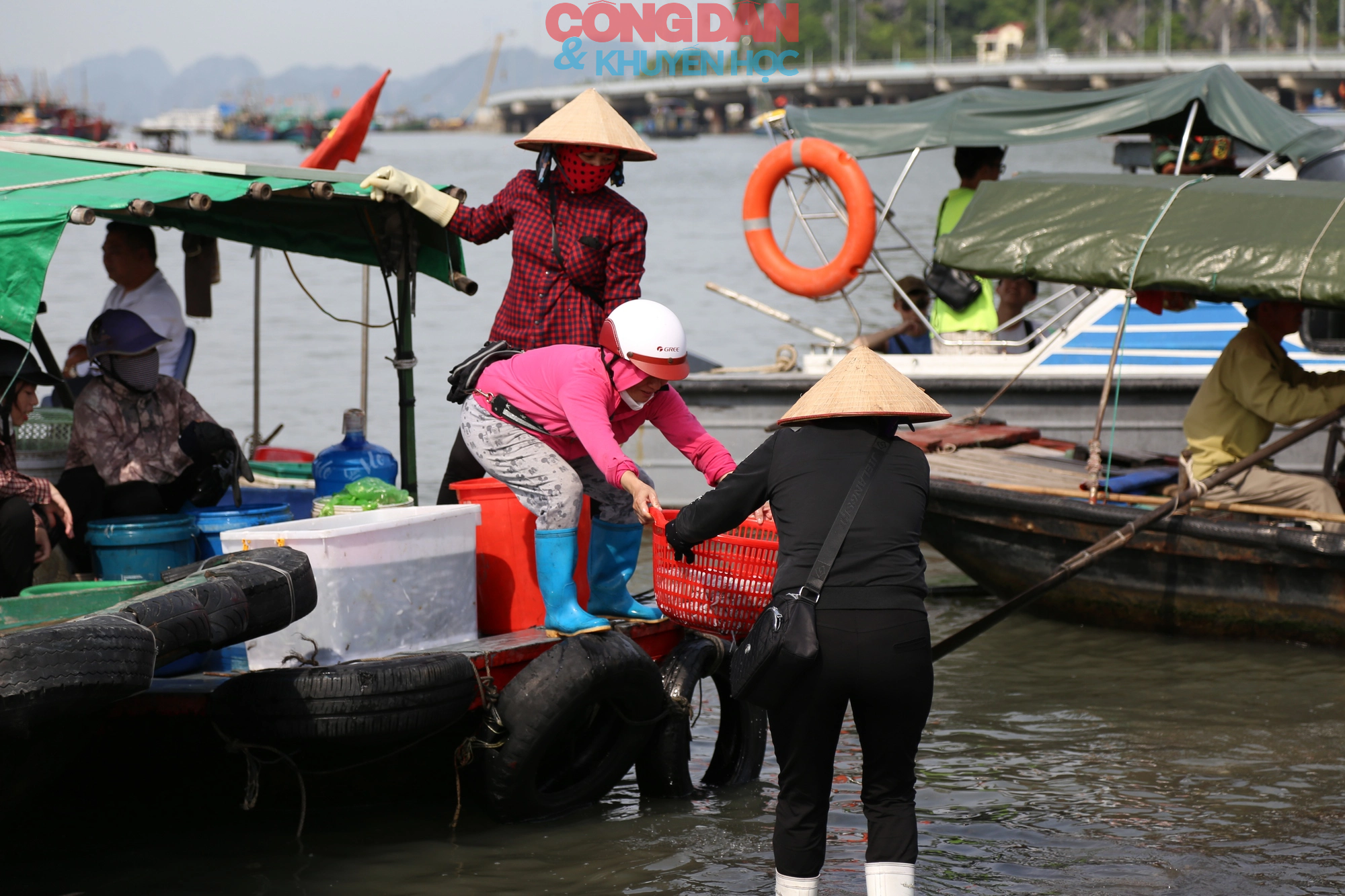 Quảng Ninh: Đối phó với bão số 1, tàu vào nơi neo đậu, ngư dân hối hả lên bờ - Ảnh 5.