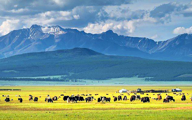 Du lịch Mông Cổ: Tận hưởng mùa hè xanh với những điểm nhấn ấn tượng - Ảnh 4.