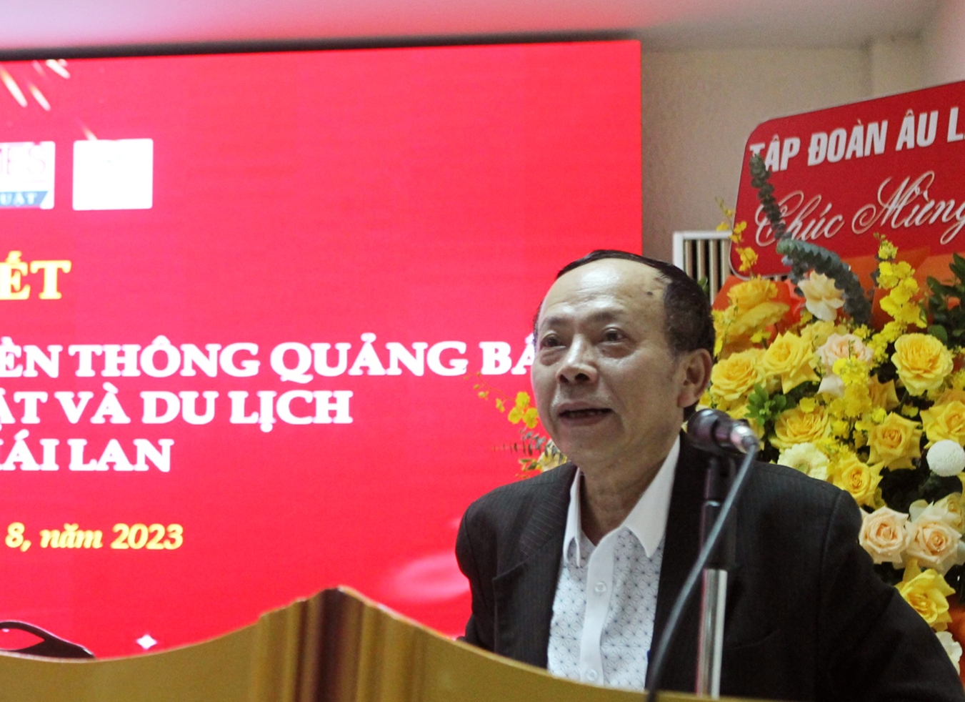 Thúc đẩy phát triển văn hóa, văn học nghệ thuật, du lịch, tăng cường tình hữu nghị Việt Nam - Thái Lan - Ảnh 2.