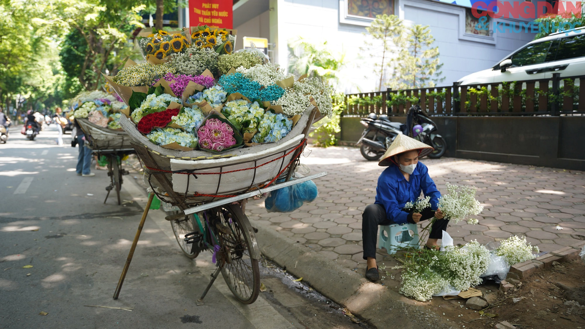 Những chiếc xe hoa bán rong chứa dựng sắc thu Hà Nội - Ảnh 10.