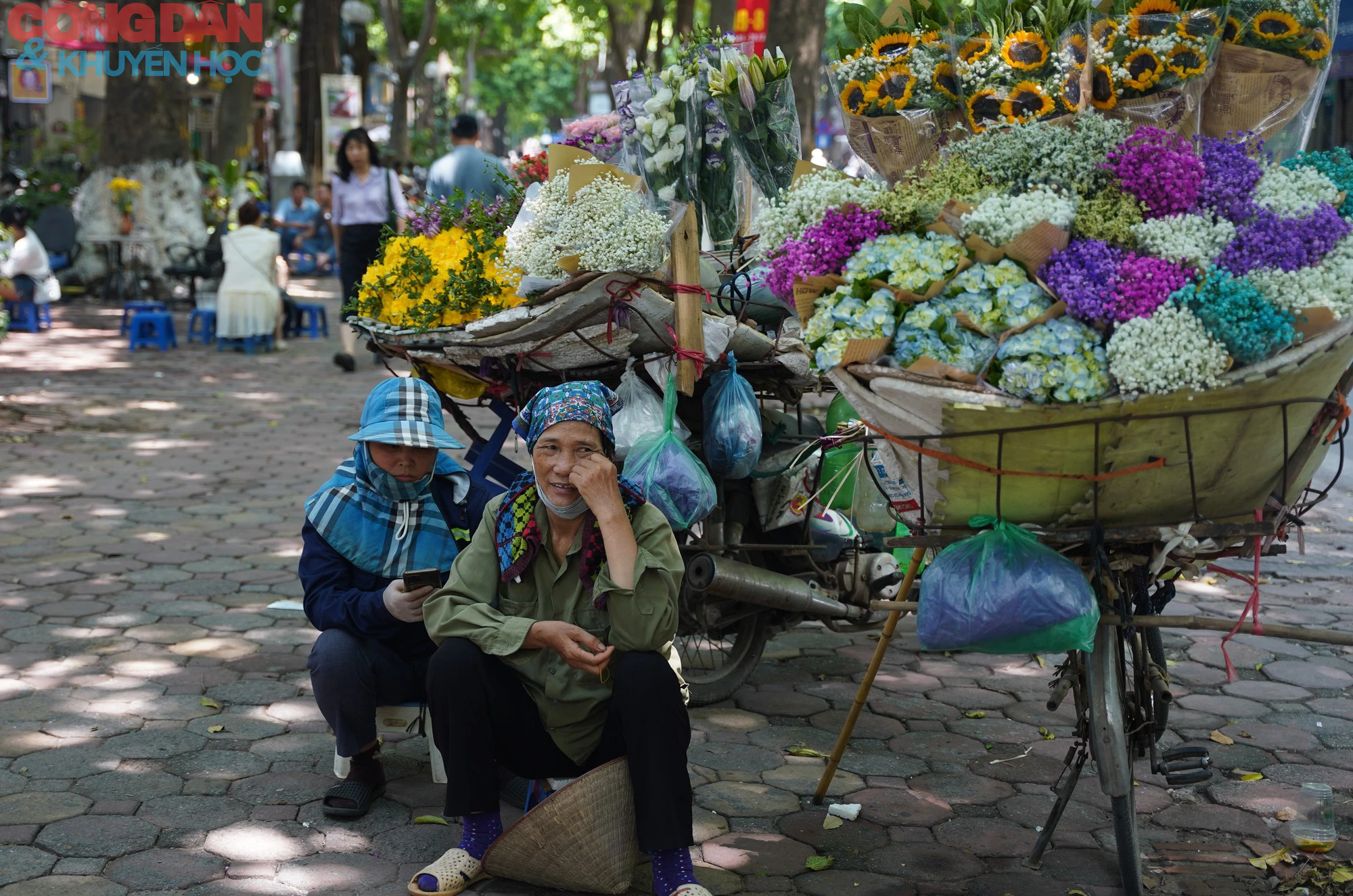 Những chiếc xe hoa bán rong chứa dựng sắc thu Hà Nội - Ảnh 11.