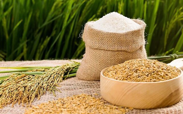 Thủ tướng chỉ thị đảm bảo an ninh lương thực quốc gia, "chặn" giá lúa gạo tăng cao bất hợp lý
