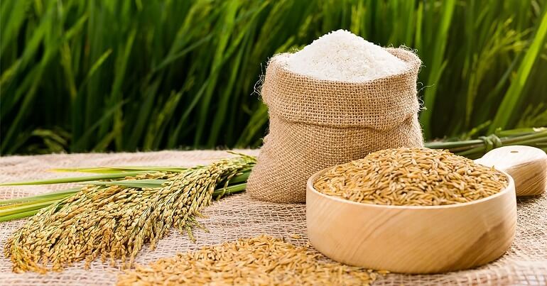 Thủ tướng chỉ thị đảm bảo an ninh lương thực quốc gia, &quot;chặn&quot; giá lúa gạo tăng cao bất hợp lý - Ảnh 1.