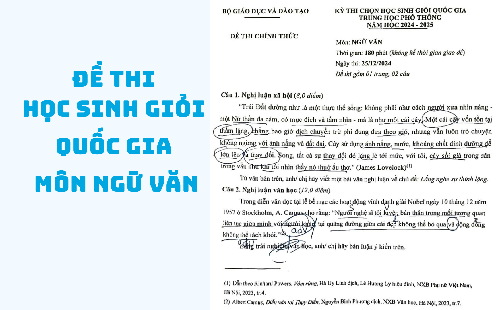 Đề thi học sinh giỏi quốc gia môn Ngữ văn có ngữ liệu trừu tượng? - Ảnh 1.