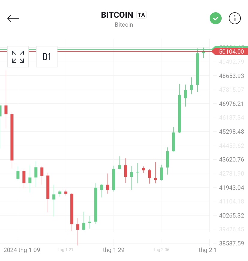 Giá Bitcoin chính thức chinh phục mốc 50.000 USD- Ảnh 1.