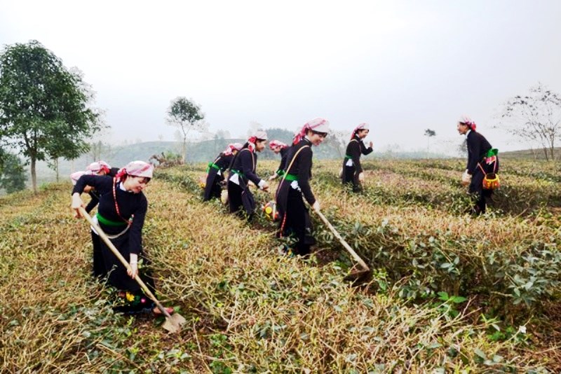 Người Tày ở Lào Cai mở hội xuống đồng đầu xuân mới- Ảnh 1.