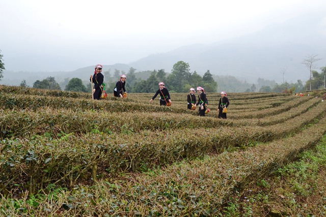 Người Tày ở Lào Cai mở hội xuống đồng đầu xuân mới- Ảnh 9.