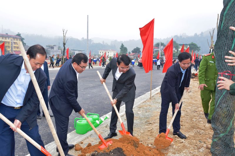 Lào Cai đồng loạt ra quân trồng cây với mục tiêu trồng 80.000 cây xanh đầu năm mới- Ảnh 1.