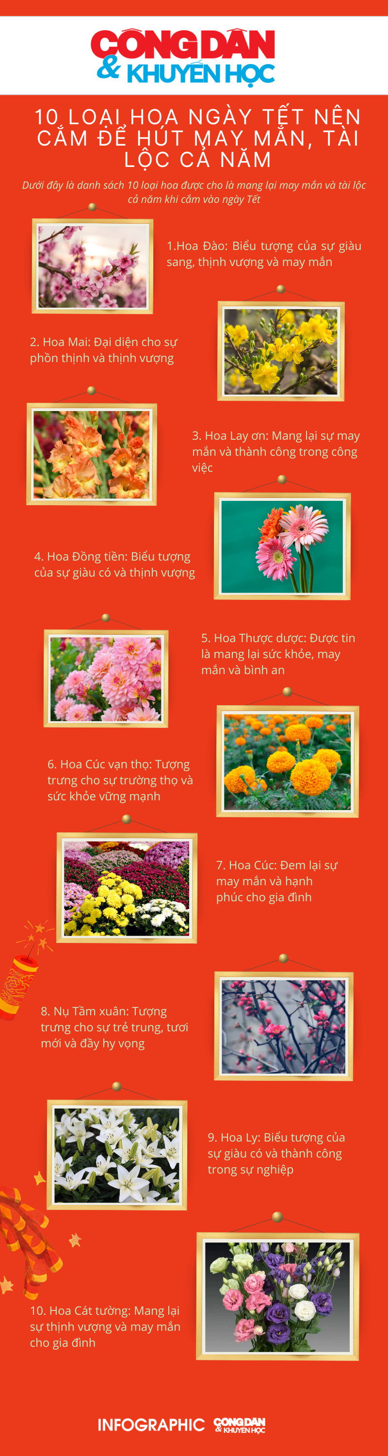[Infographic] - 10 loại hoa ngày Tết nên cắm để hút may mắn, tài lộc cả năm- Ảnh 1.