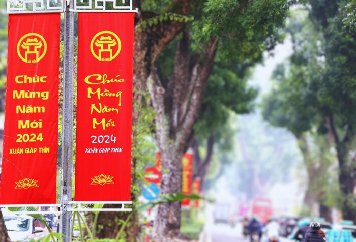 Hà Nội trang hoàng rực rỡ cờ hoa mừng Đảng, mừng Xuân Giáp Thìn 2024- Ảnh 7.