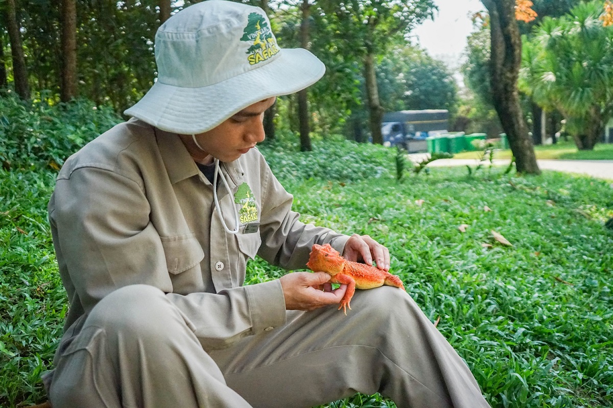 Thầm lặng những “bảo mẫu lênh đênh ngày đêm” cùng động vật hoang dã ở River Safari- Ảnh 3.