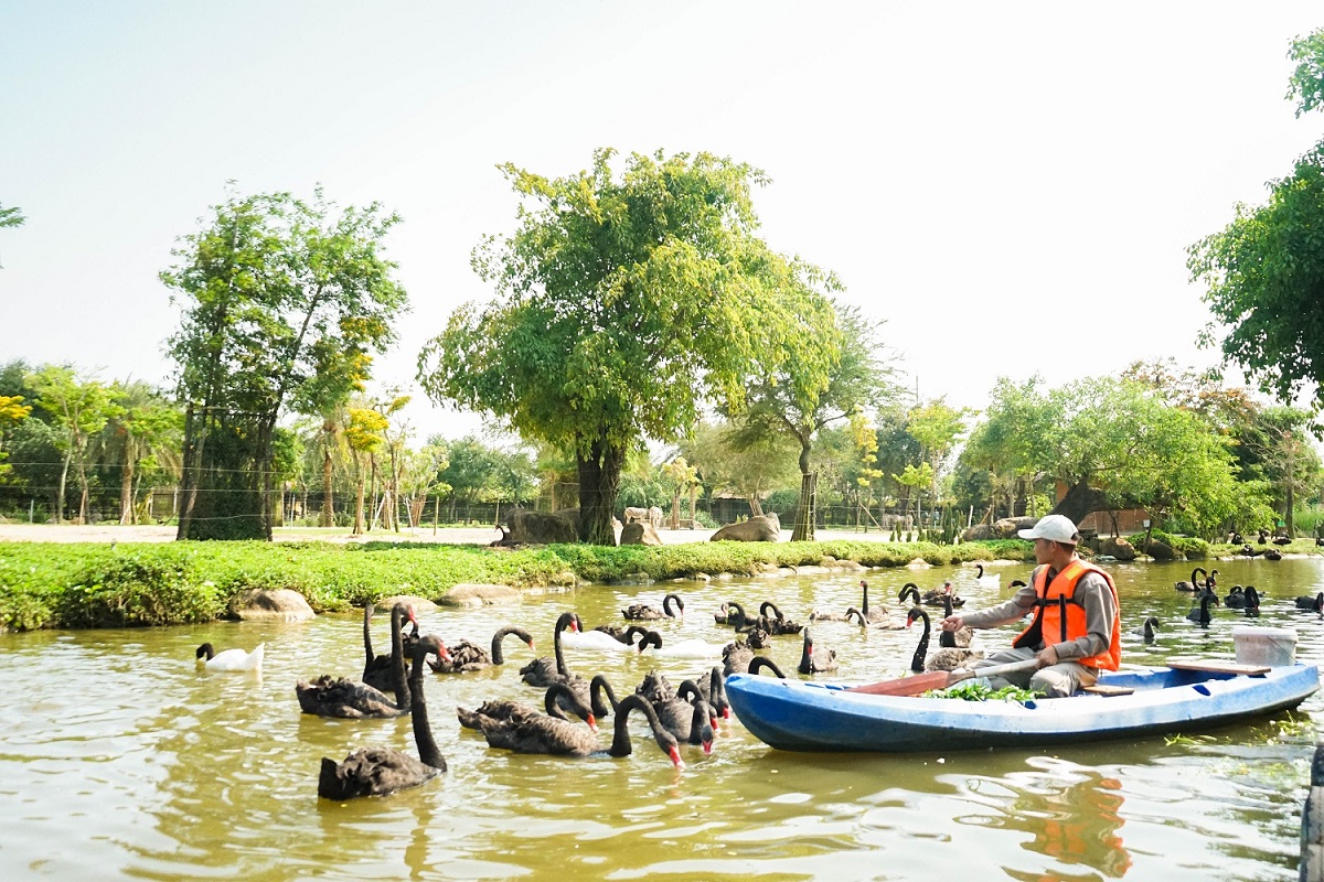 Thầm lặng những “bảo mẫu lênh đênh ngày đêm” cùng động vật hoang dã ở River Safari- Ảnh 4.