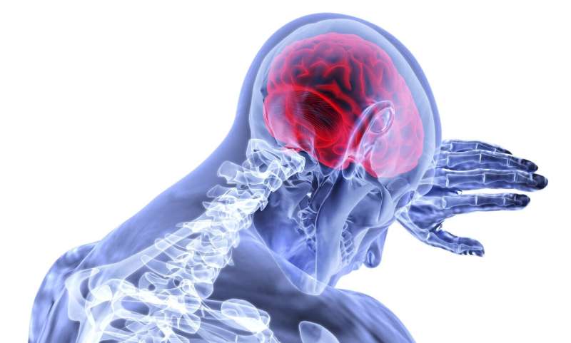 Tiềm năng của trí tuệ nhân tạo trong việc xác định tổn thương não sau đột quỵ- Ảnh 1.
