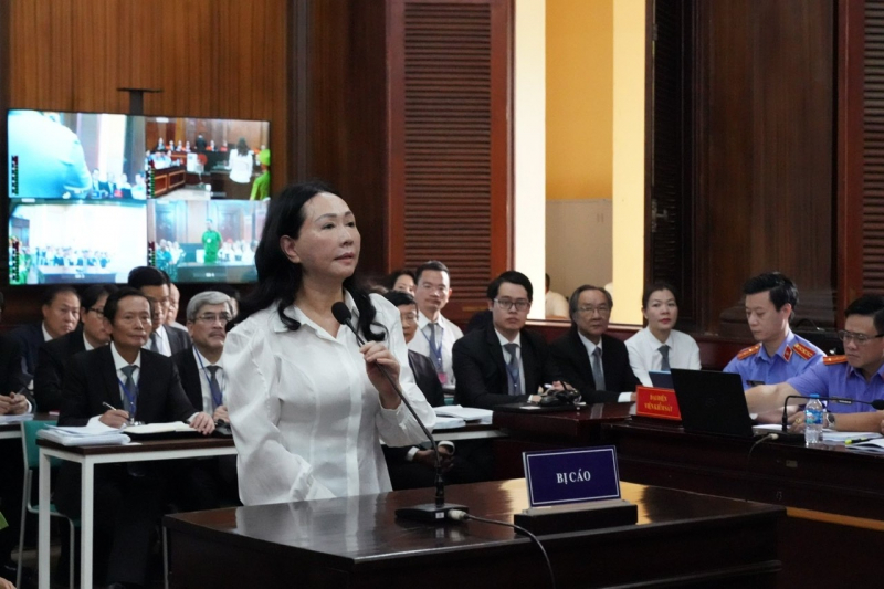 Vụ Vạn Thịnh Phát: Bà Trương Mỹ Lan trình bày điều gì trong đơn kháng cáo bản án sơ thẩm- Ảnh 1.
