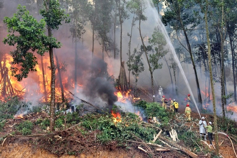 Cục Kiểm lâm cảnh báo 331 khu vực dễ cháy rừng cấp nguy hiểm và rất nguy hiểm- Ảnh 1.