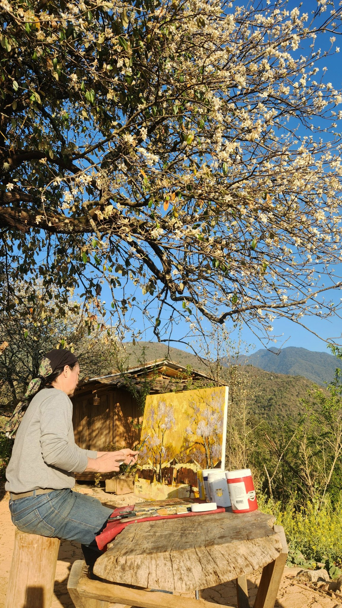 Triển lãm "Miền hoa trắng" - mang rừng hoa Sơn tra về Hà Nội- Ảnh 7.