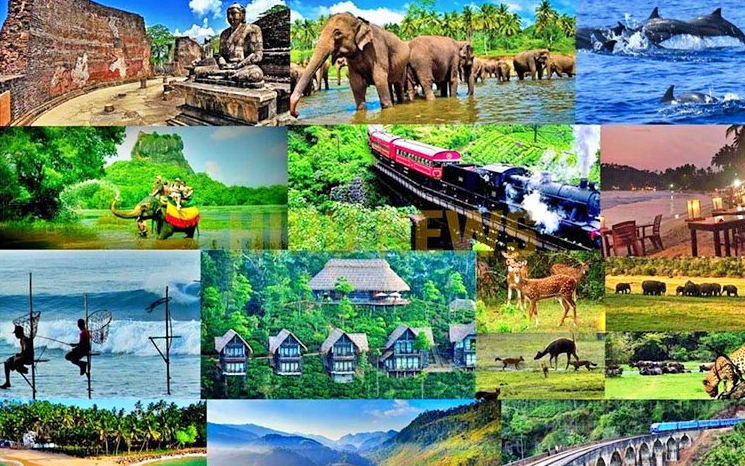 Sri Lanka thu hút du khách trải nghiệm vẻ đẹp "mùa Xanh"- Ảnh 3.