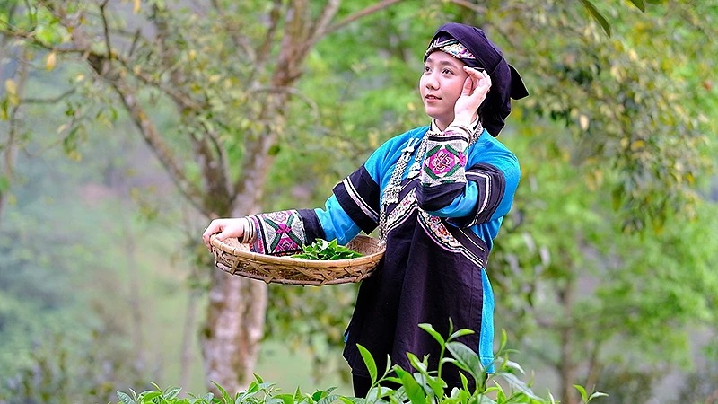 Vượt qua hơn 11.000 clip, tác phẩm của nữ sinh Lồ Phà Tú Anh đoạt giải nhất "Tinh hoa Việt Nam"- Ảnh 2.