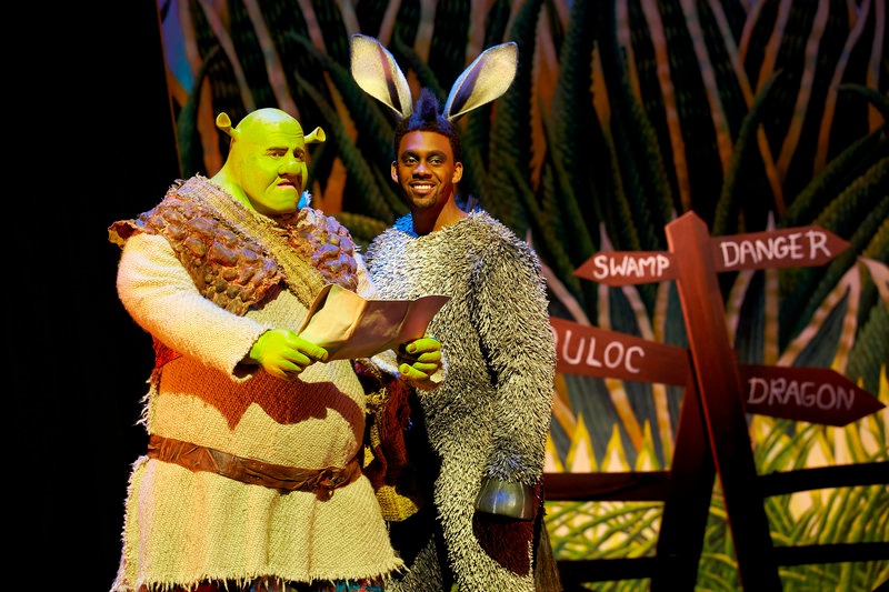 Shrek - vở nhạc kịch vui nhộn trở lại Việt Nam với 5 đêm diễn- Ảnh 4.