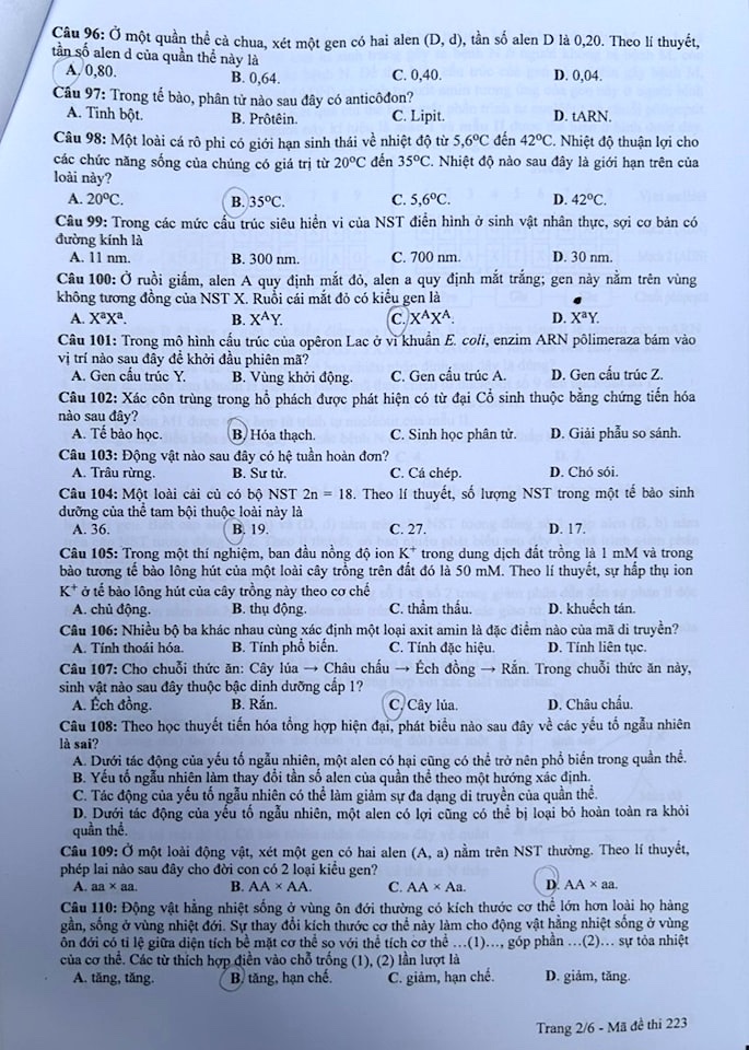 Đề tổ hợp các môn Khoa học tự nhiên thi tốt nghiệp trung học phổ thông 2024- Ảnh 11.