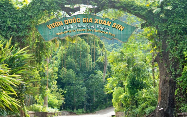 Vườn Quốc gia Xuân Sơn - tiềm năng phát triển du lịch mùa hè vượt trội- Ảnh 1.