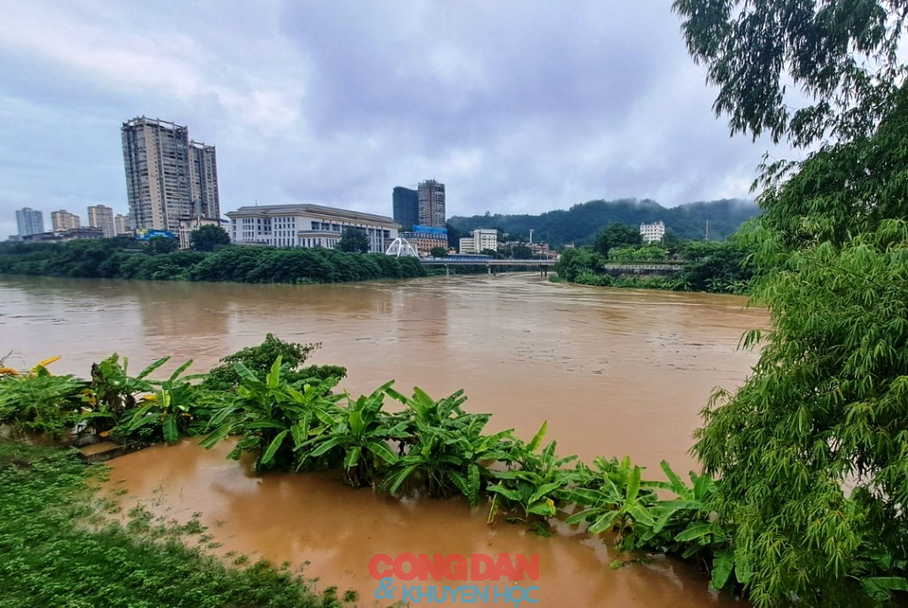 Lũ thượng nguồn sông Hồng ở Lào Cai dâng cao - các địa phương sẵn sàng ứng phó- Ảnh 4.