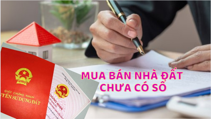 Đất chưa được cấp sổ đỏ có mua bán được không?- Ảnh 1.