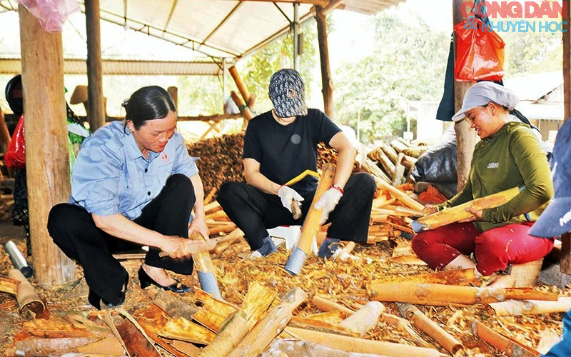 Nông sản Lào Cai sang thị trường Trung Quốc: Những điểm khó cần tháo gỡ- Ảnh 2.