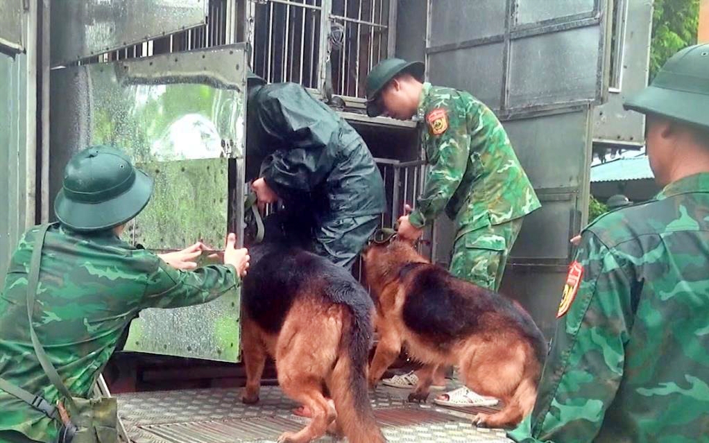 Những nguy&ecirc;n tắc tự cứu khi bị kiệt sức trong rừng - Ảnh 1.