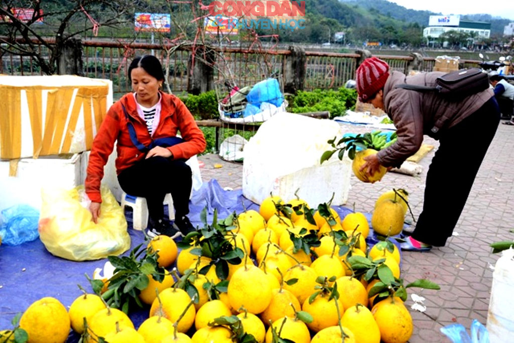 Chợ phiên vùng cao Lào Cai ngày giáp Tết - Ảnh 15.