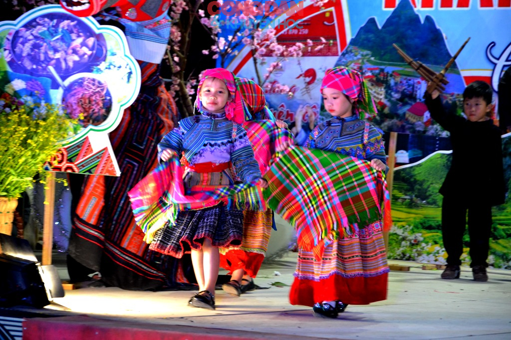 Tôn vinh nét đẹp trang phục, bản sắc văn hóa truyền thống các dân tộc vùng cao Bắc Hà - Ảnh 7.