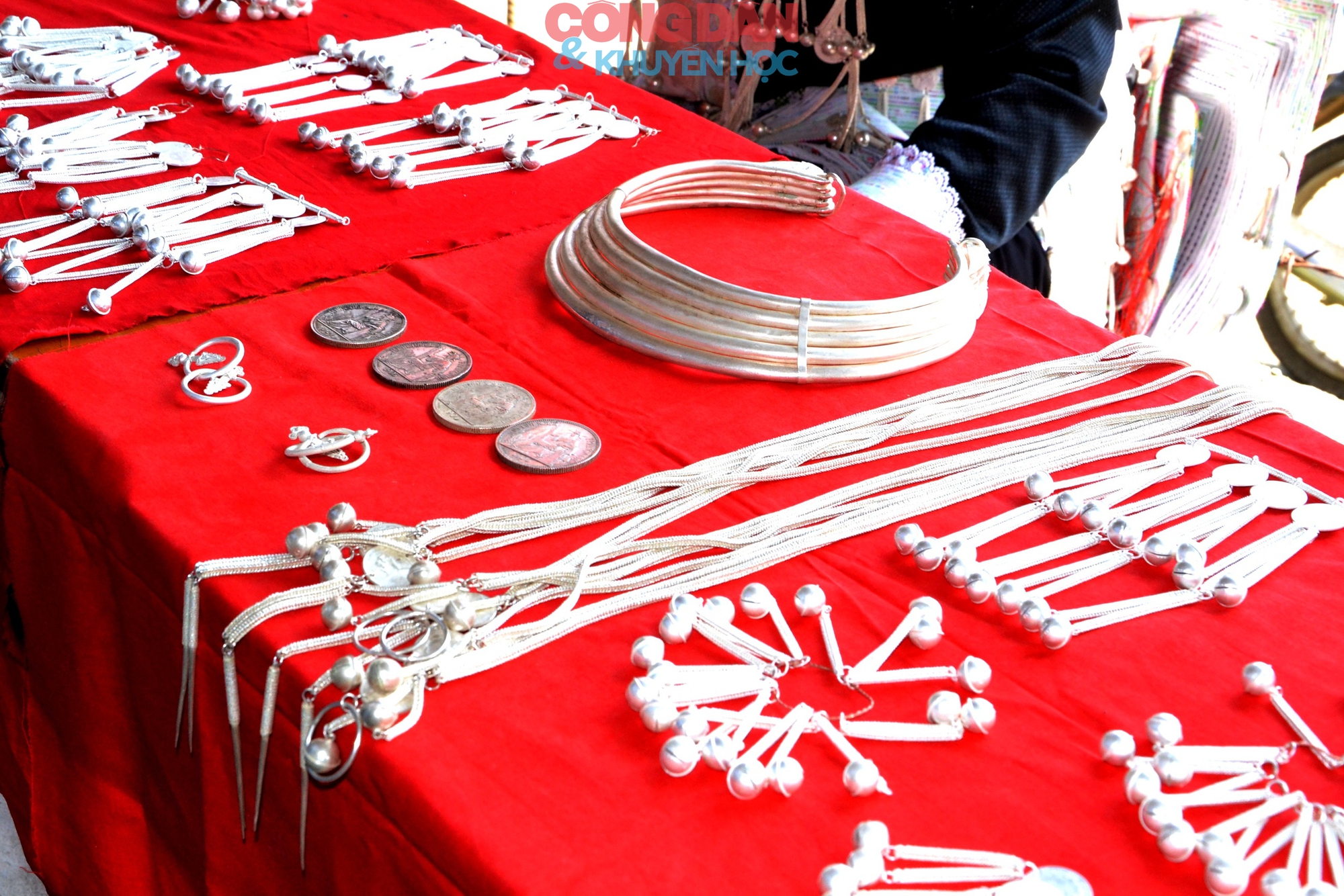 Bạc Tiên nữ ở Mường Hum - Ảnh 3.