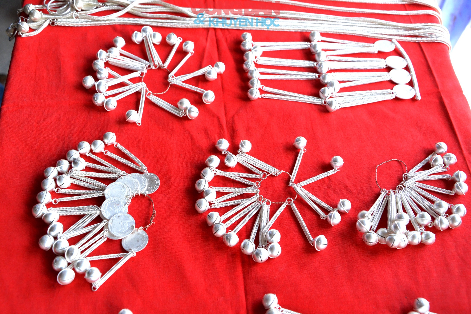 Bạc Tiên nữ ở Mường Hum - Ảnh 4.