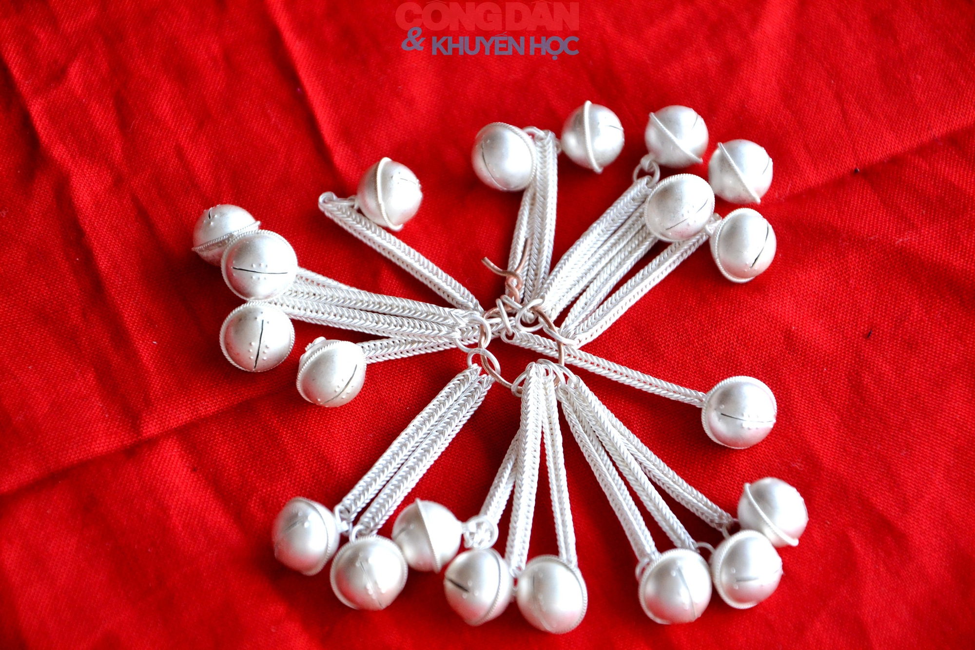 Bạc Tiên nữ ở Mường Hum - Ảnh 6.