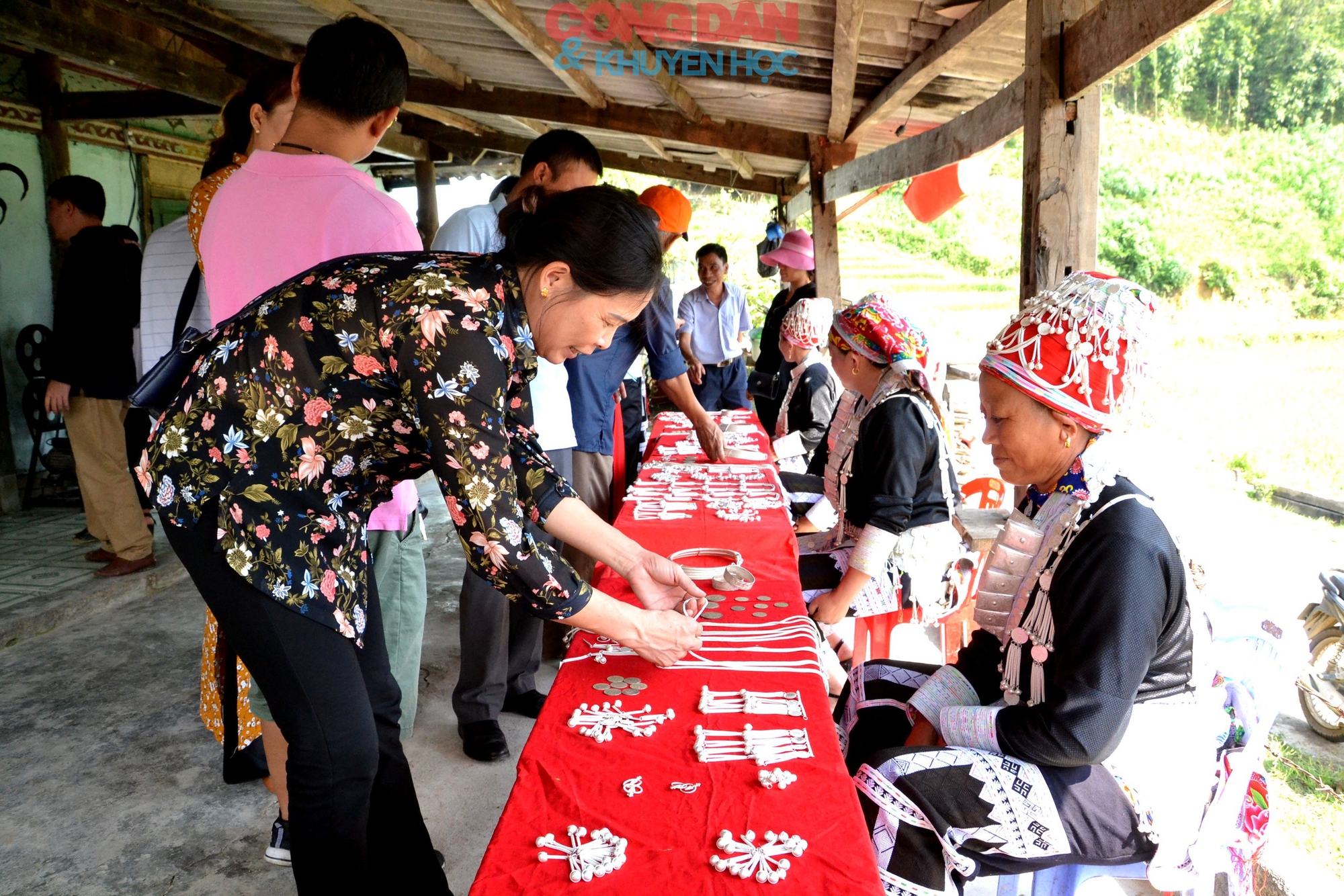 Bạc Tiên nữ ở Mường Hum - Ảnh 8.