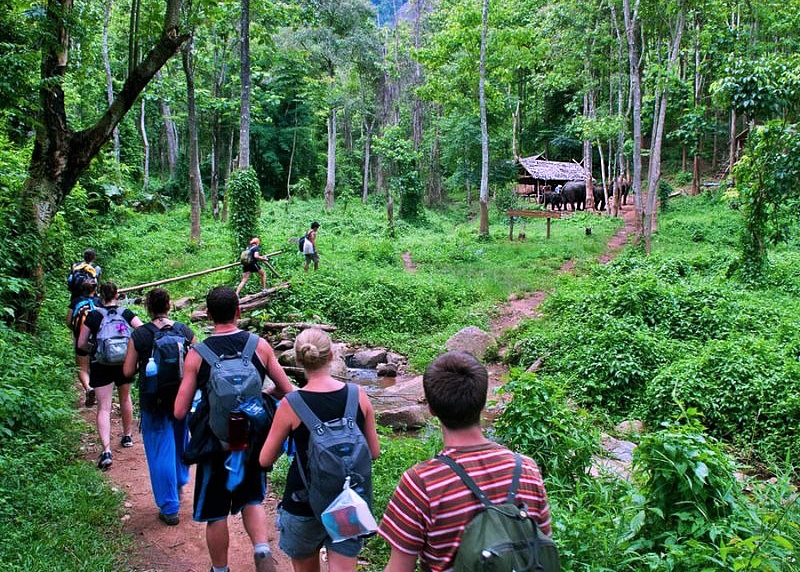 Lonely Planet lưu ý du khách "8 vườn quốc gia lớn và đẹp nhất Việt Nam" - Ảnh 6.