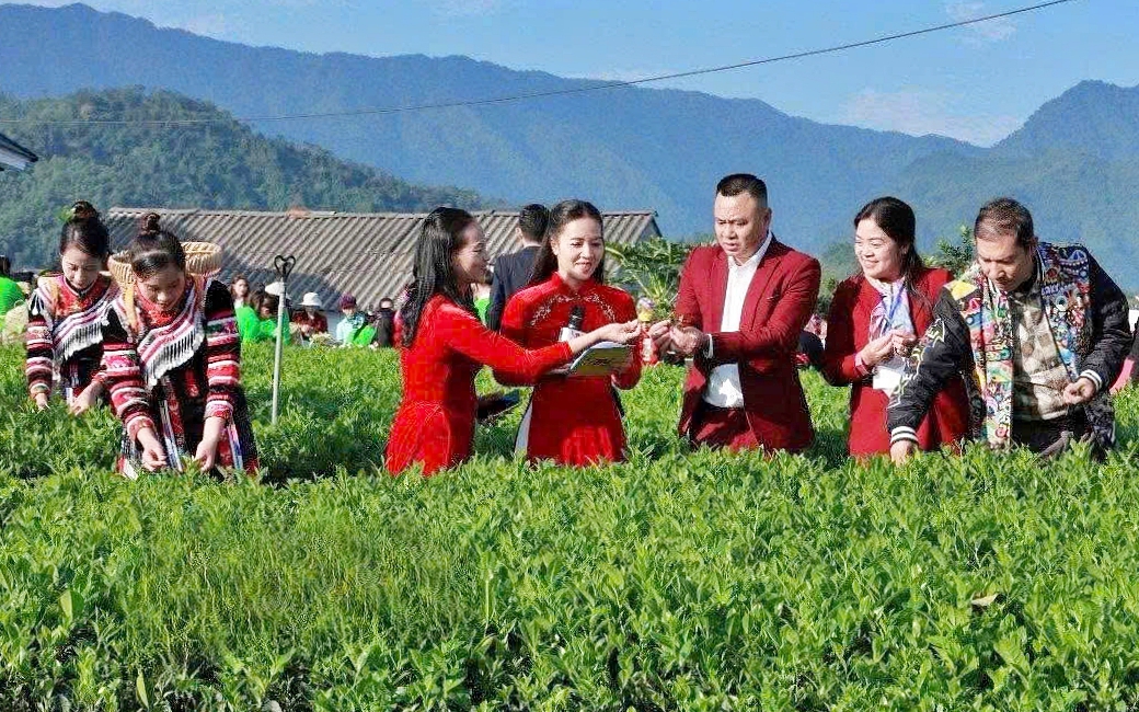 Khai mạc Lễ hội Hương sắc danh tr&agrave; Th&aacute;i Nguy&ecirc;n - Ảnh 5.