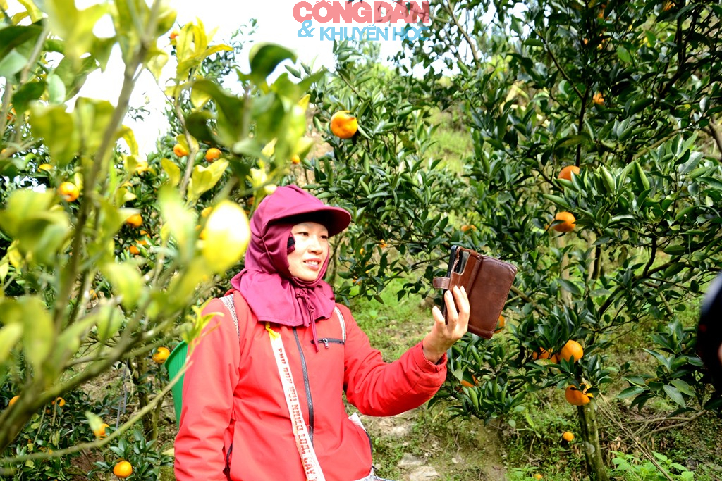 Qu&yacute;t ngọt xứ Mường - Ảnh 8.