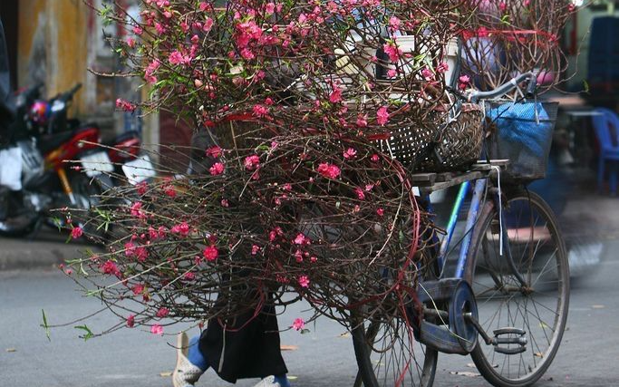 Những m&ugrave;a b&igrave;nh thường ở khu tập thể cũ - Ảnh 3.