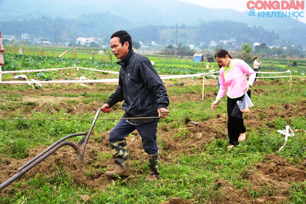 Thi cày ruộng đầu năm ở Quang Kim (Lào Cai) - Ảnh 13.