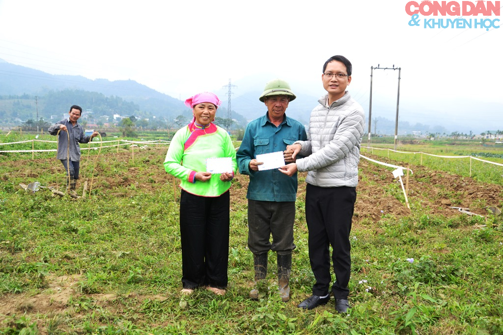 Thi cày ruộng đầu năm ở Quang Kim (Lào Cai) - Ảnh 15.