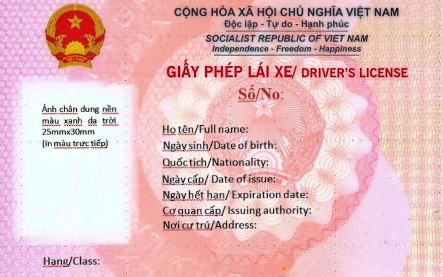 Giấy phép lái xe cấp trước 1/1/2025 được cấp đổi lại - Ảnh 2.