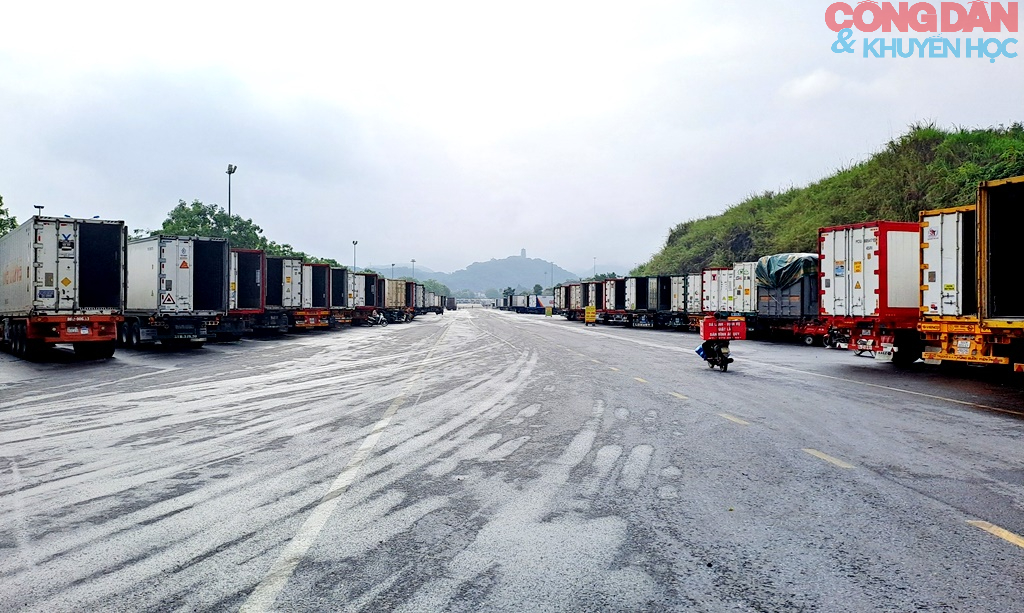 Phân luồng riêng ưu tiên vải tươi xuất khẩu qua cửa khẩu Kim Thành - Lào Cai - Ảnh 3.