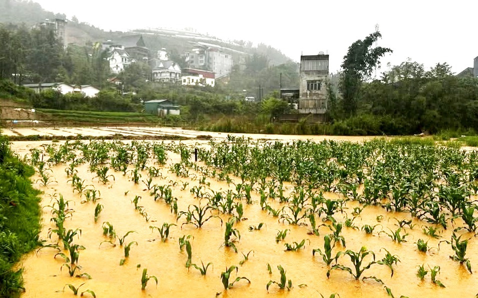 Xuất hiện không khí lạnh vào mùa hè - Ảnh 2.